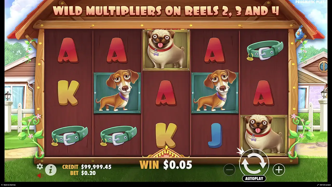 the Dog house: преимущества и недостатки игры
