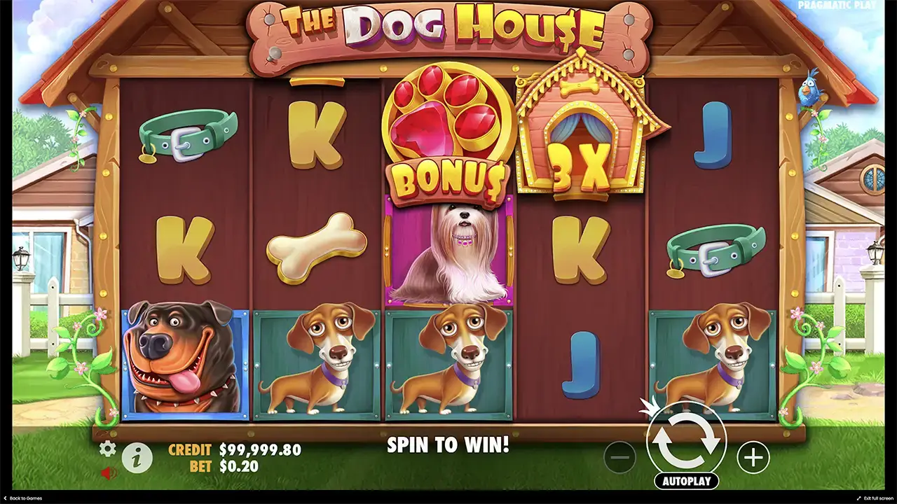 the Dog house характеристики