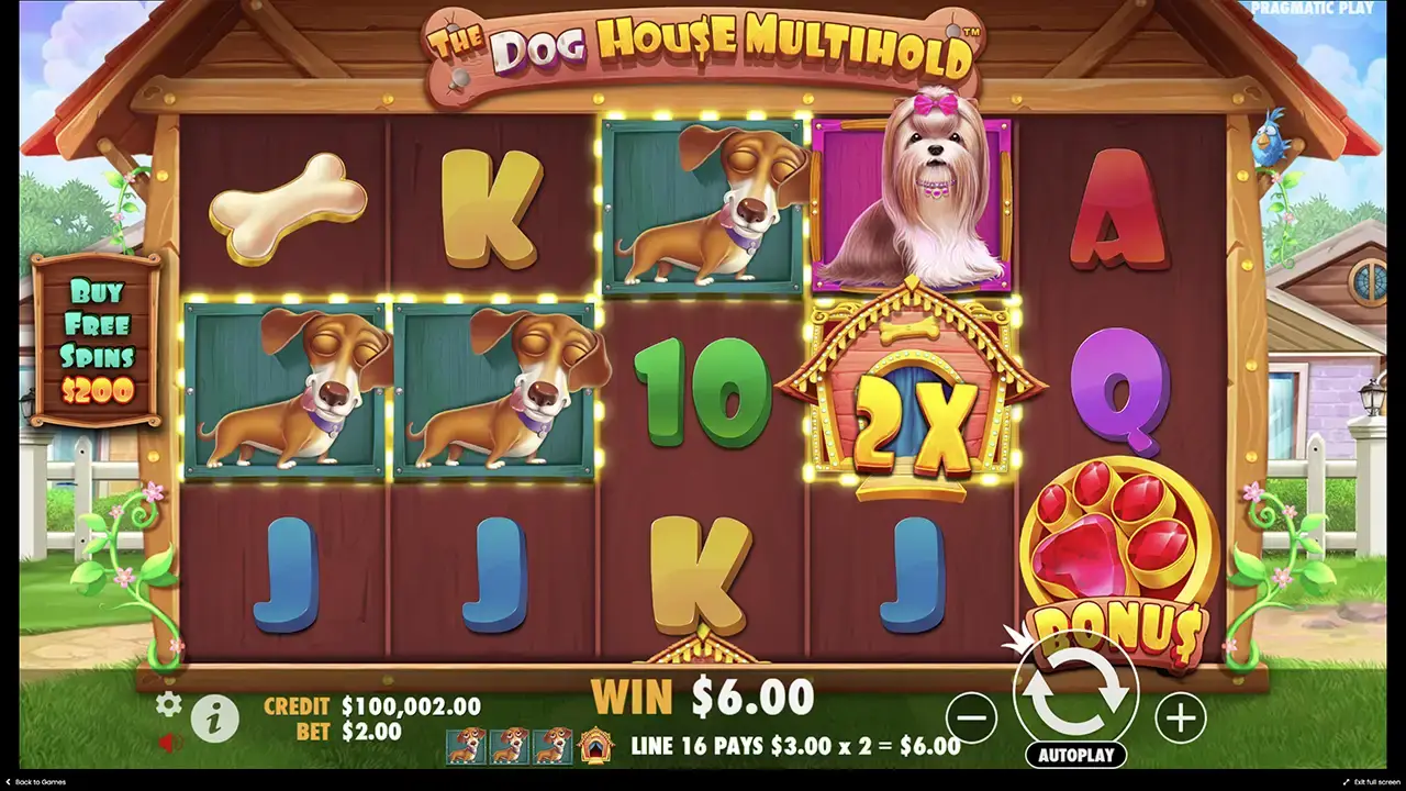 The Dog House Multihold правила игры