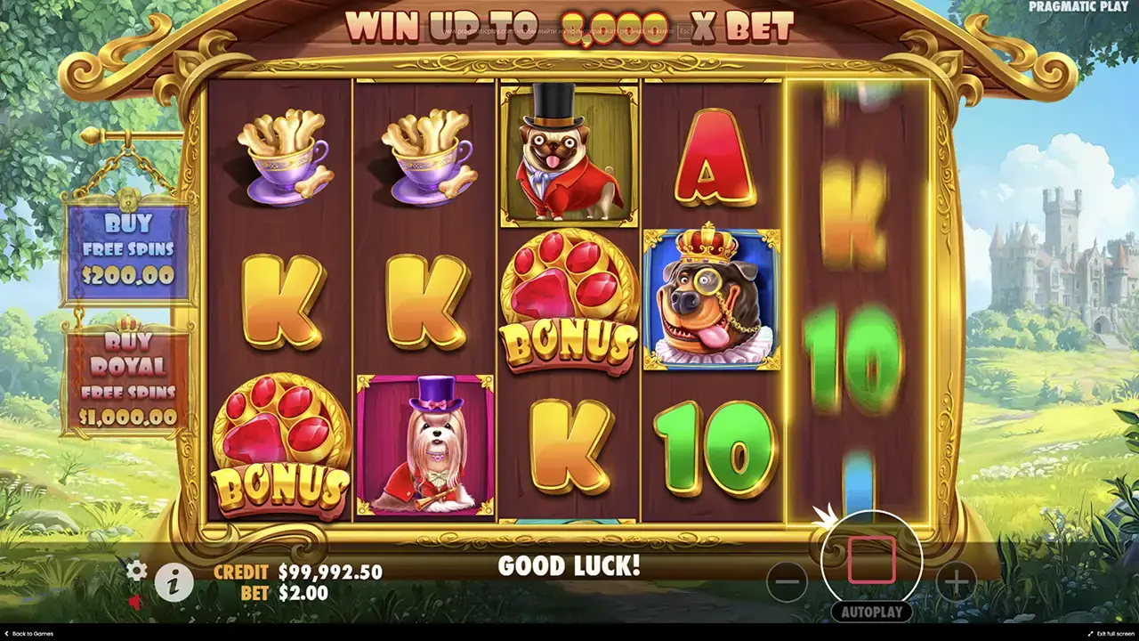 Слот The Dog House – Royal Hunt механика игры, интерфейс и характеристики