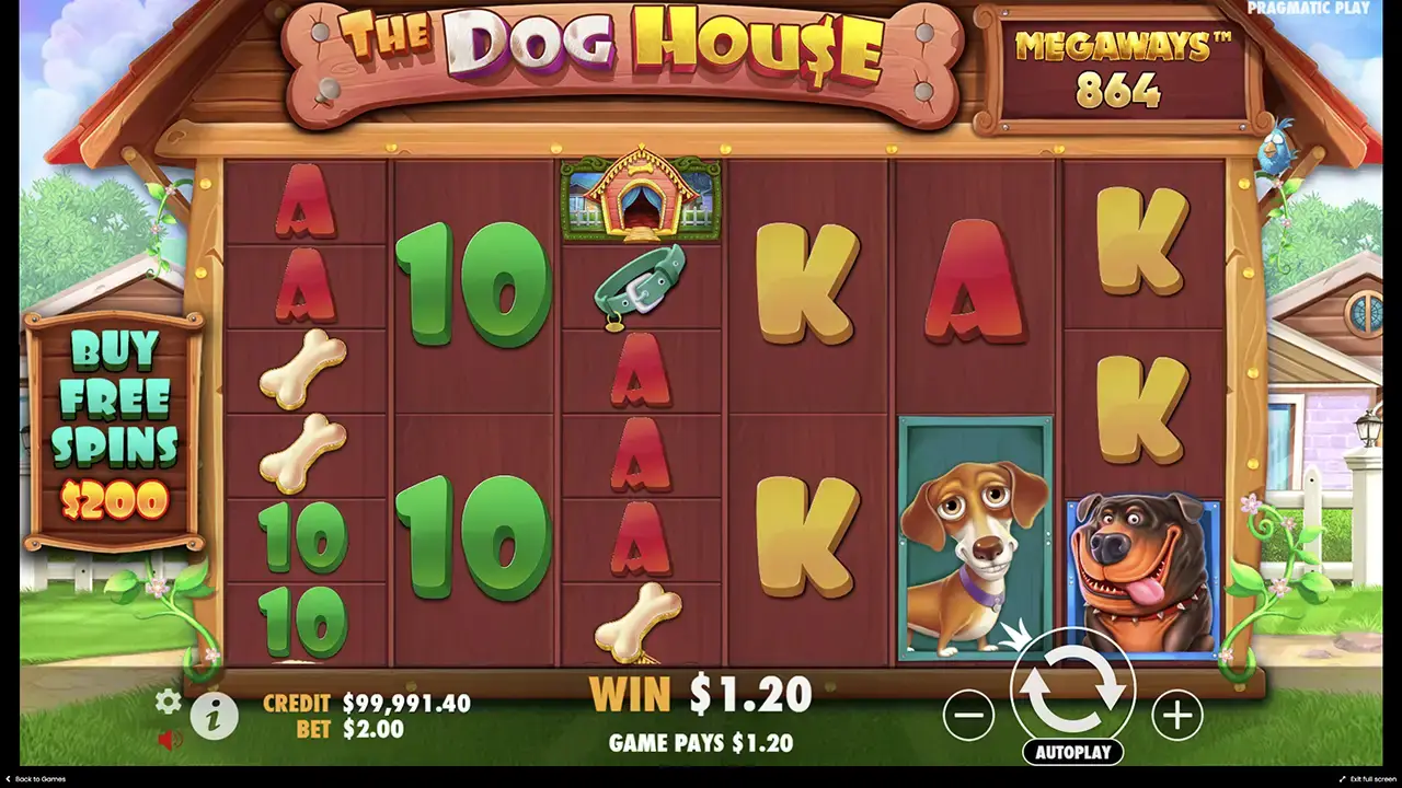 The Dog House Megaways бонусная игра