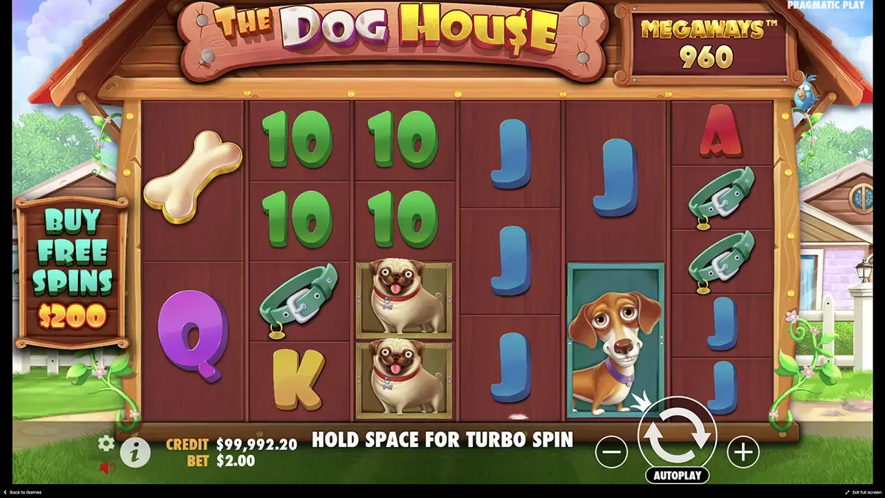 Игра на деньги в The Dog House Megaways