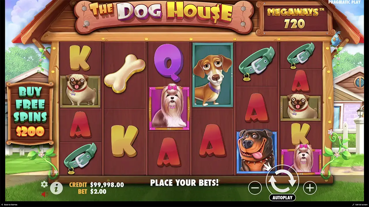 Инструкция к слоту The Dog House Megaways